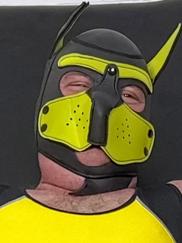Bad Puppy