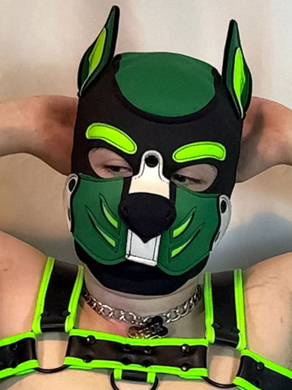 Pup Arbor