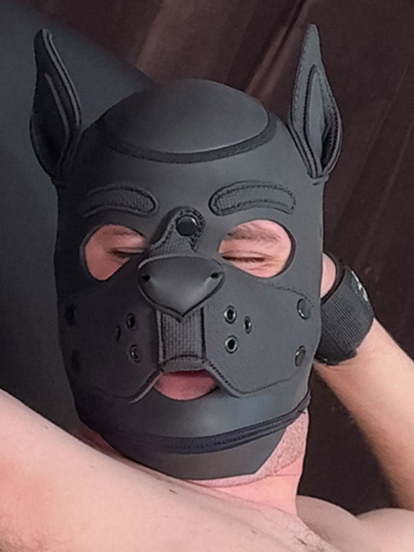 Pup Banjo