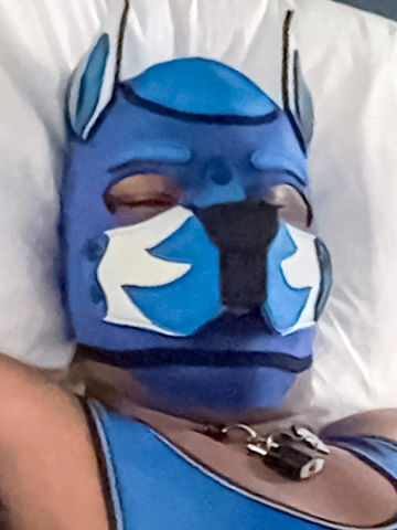 Pup Bard