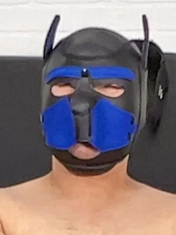 Pup Carlos