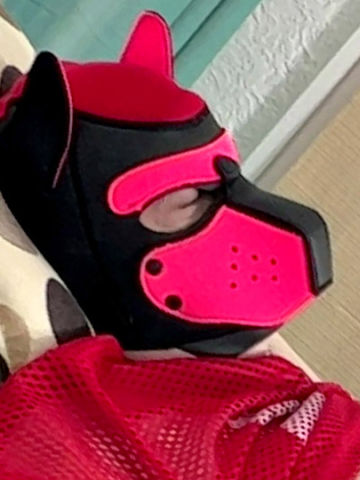 Pup Nibbler