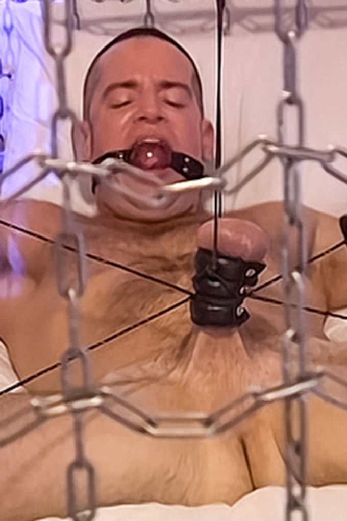 model-thumb