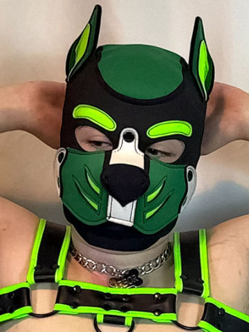 Pup Arbor