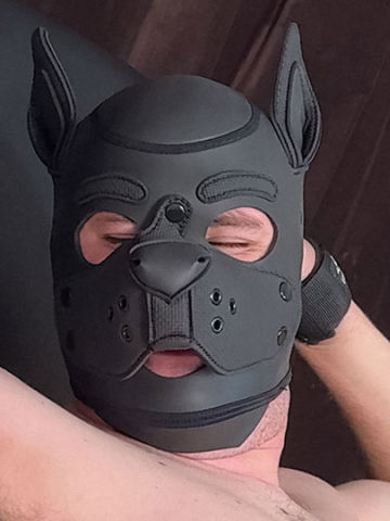 Pup Banjo